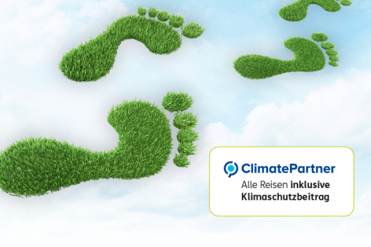 Fußabdruck aus Bäumen, Klimaschutz bei SKR